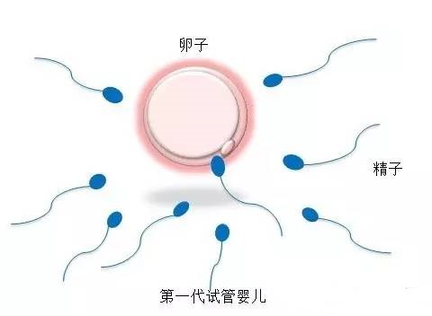 苏主任